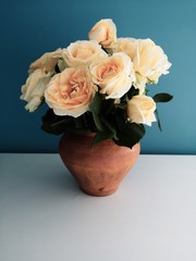 bouquet of roses in a clay vase on a blue background