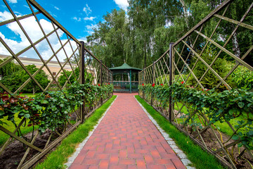 a rose garden with a fence for climbing bush roses along a path from paving slabs in perspective leading to a backyard gazebo.