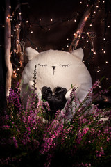 Fototapete bei efototapeten.de bestellen   