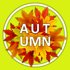 Autumn Background Template, with falling bunch of leaves, shopping sale or seasonal poster