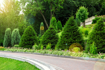 curved pedestrian walkway made of tiles with a stone curb along a flower bed with pine trees, in the background deciduous trees and a green lawn with sun flare.