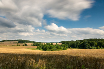 wheat field by day. long exposure