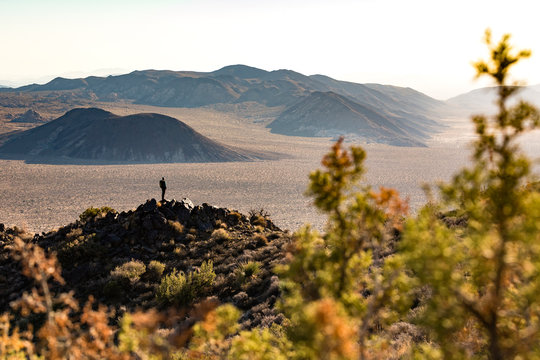 A woman enjoys the view from the Lost Horse Loop Trail  in Joshua Tree National Park, California, USA
