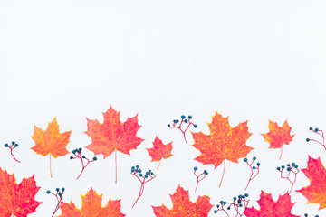 Flat lay border with colorful autumn leaves and berries on a white background