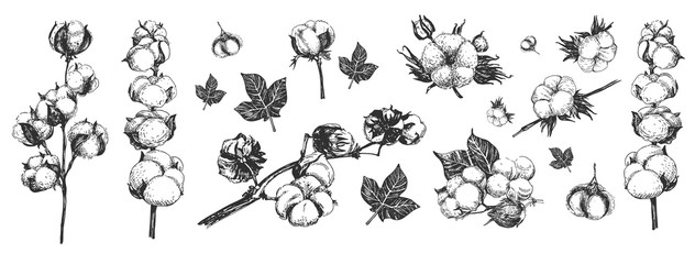 Cotton flowers composition