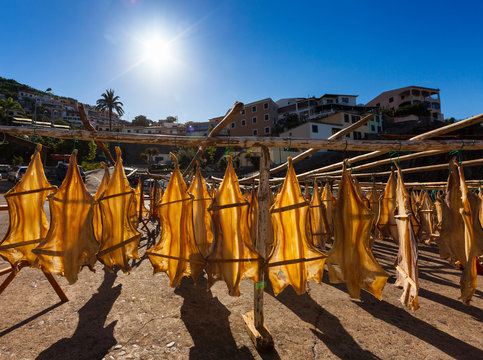 Portugal, Stockfish for drying at Camara de Lobos near Funchal