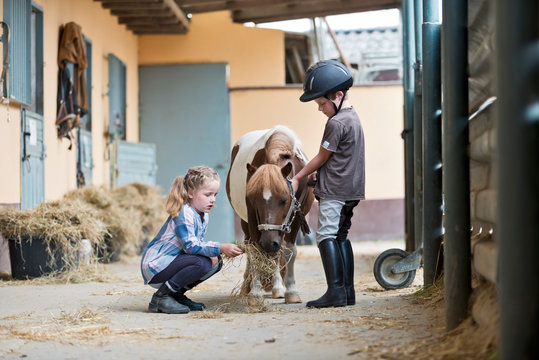 Germany, NRW, Korchenbroich, Boy and Girl at riding stable with mini Shetland pony
