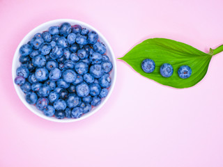 blueberries on a white background. blueberry or bilberry or blackberry or blue whortleberry or huckleberry isolated on white background cutout
