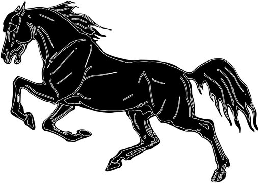 isolated image, drawing, black silhouette, galloping horse on white background.  