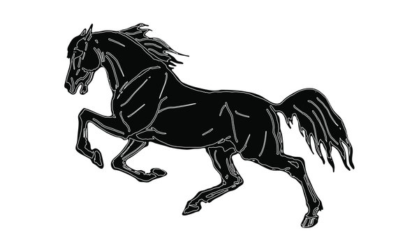 vector isolated image, drawing, black silhouette, galloping horse on white background.  