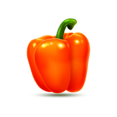 Orange bell pepper isolated on white background, sweet paprika, vegetable, healthy food, spice. 3D effect, vector illustration. EPS10