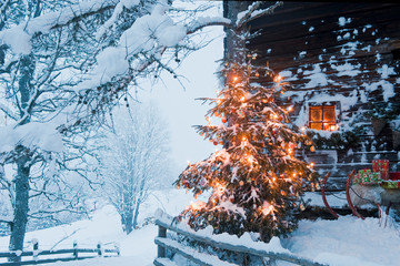 Austria, Salzburg Country, Flachau, View of illuminated Christmas tree with sleigh in front of alpine hut