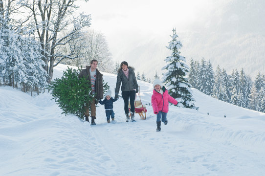 Austria, Salzburg Country, Flachau, View Of Family Carrying Christmas Tree And Sledge In Snow