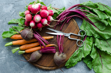 Assorted raw organic vegetables