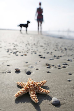 Germany, Lower Saxony, East Frisia, Langeoog, sea star and silhouette of a woman and her dog at the beach