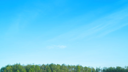 Blue sky with cloud bright at Phuket Thailand.