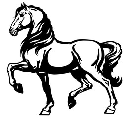 Heavy draft horse side view. Black and white vector