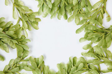 Floral wreath made of beautiful green leaves.