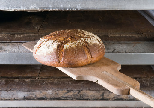 Wholegrain bread putting into stone oven, close up