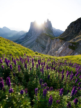 Beautiful rugged Seceda mountain range at sunrise in South Tyrol, Italy