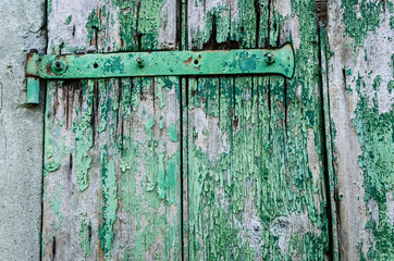 Old green painted wood door