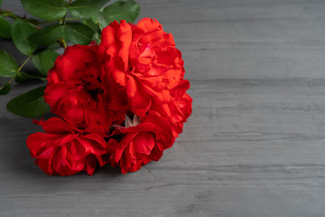 A bouquet of red blooming roses on a dark cement background in the corner.