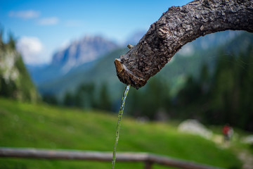 Fontana
