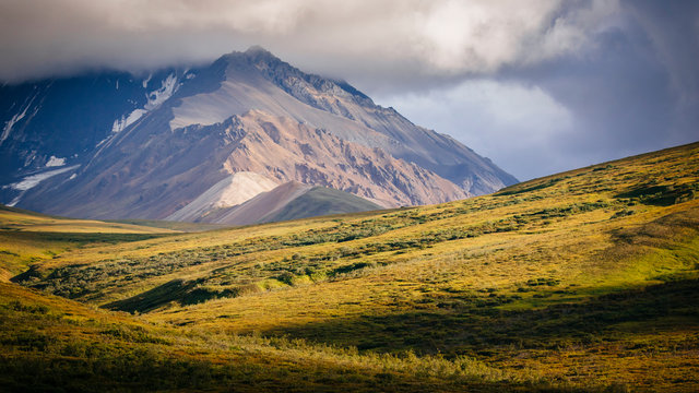 Denali National Park landscape near Sable Pass, Alaska, USA