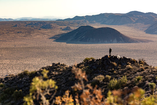A woman enjoys the view from the Lost Horse Loop Trail  in Joshua Tree National Park, California, USA