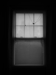 Black and White Glass Window with Blinds