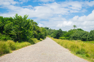 Plakat Countryside road on Itamaraca Island - Pernambuco, Brazil