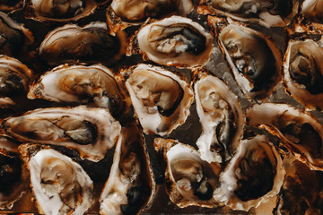 delicious mouth-watering open oysters close-up in a luxurious restaurant for dinner