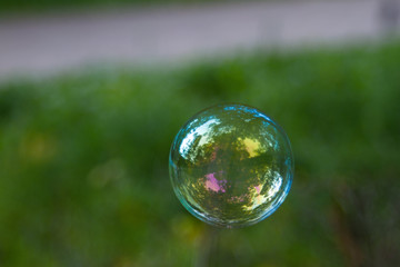 Composition with soap bubble with reflection of trees in the air on a green background