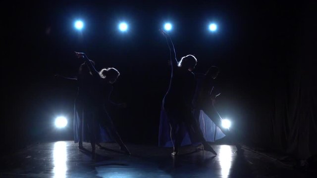 Diligent ballet dancers performing dancing elements of modern ballet. Slow motion.