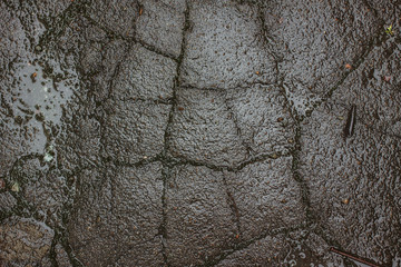 Old asphalt in cracks in the rain