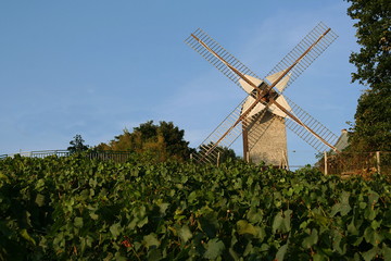 Moulin et vignes de Sannois