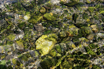green moss on the rocks