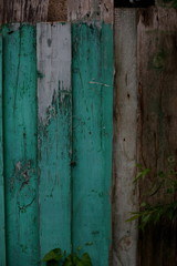 texture of old green paint on a wooden fence