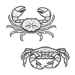 Seafood crab, marine crustacean lobster