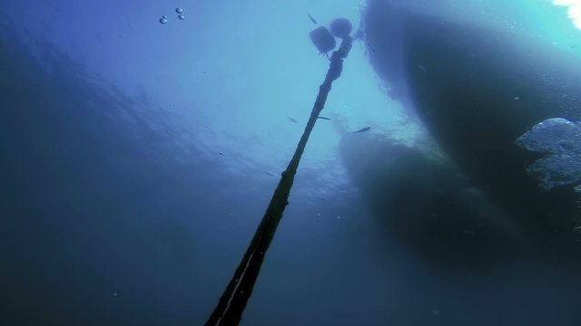 Scuba Diver Descending into Blue Water in Slow Motion