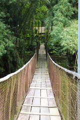 Obraz premium bridge in forest