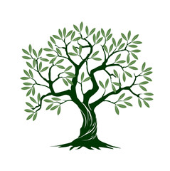 Fototapeta premium Olive tree on white background. Vector Illustration and concept pictogram.