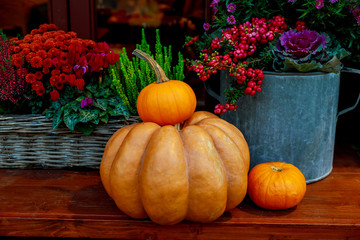 Flowers and pumpkins decoration for Thanksgiving.