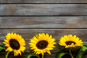 Sunflower frame on wooden background top view mock up