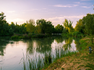 Fototapeta na wymiar Tagus river by Aranjuez