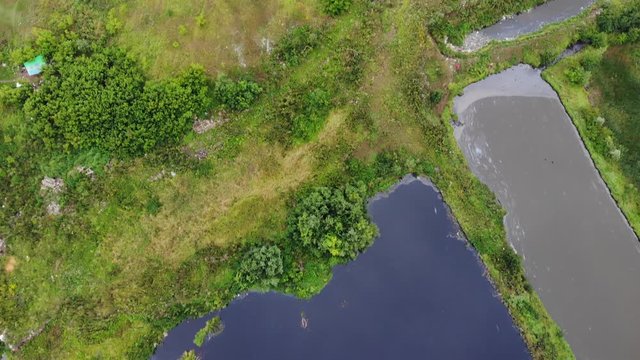 Garbage and reflection of the leafless trees in water. Environmental pollution. Water pollution.