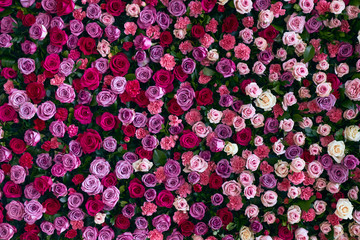 pared de flores, rosas, colores