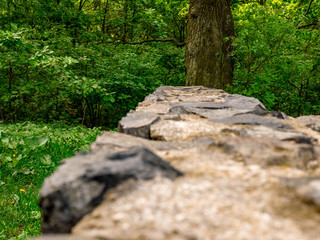 View from the top of a stone wall into a dense forest