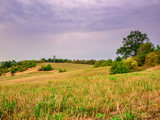 Wavy half-dried meadows with a lookout tower in the background and cloudy sky