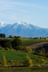 Obraz premium 秋の丘陵地帯と冠雪の山頂